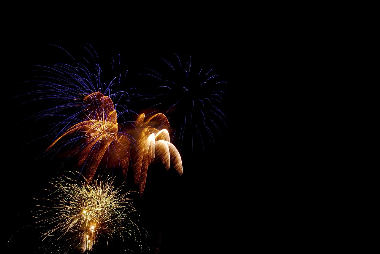 Fireworks, celebration, pyrotechnics — Wire Bound Books: Customizable Options for Every Need